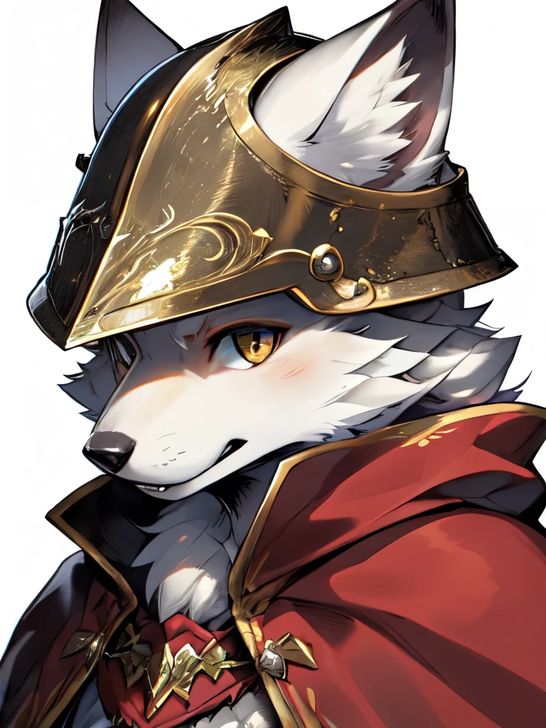 1 person, 8k Werewolf Portrait, Arctic fox, Arctic fur is as white as snow,Paladin,helmet,Red Cape, complex, Very detailed, number, Smooth, Clear focus, illustration, ((masterpiece)),Yoshitaka Amano
