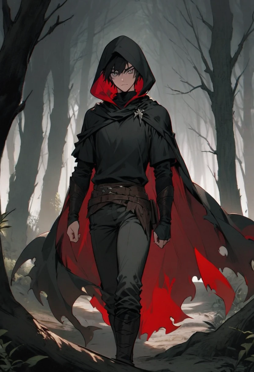 young man ,Male Dark, dark Woods,Red & Black colors, gray eye, rogue dnd, wear cape, hood, have scar
