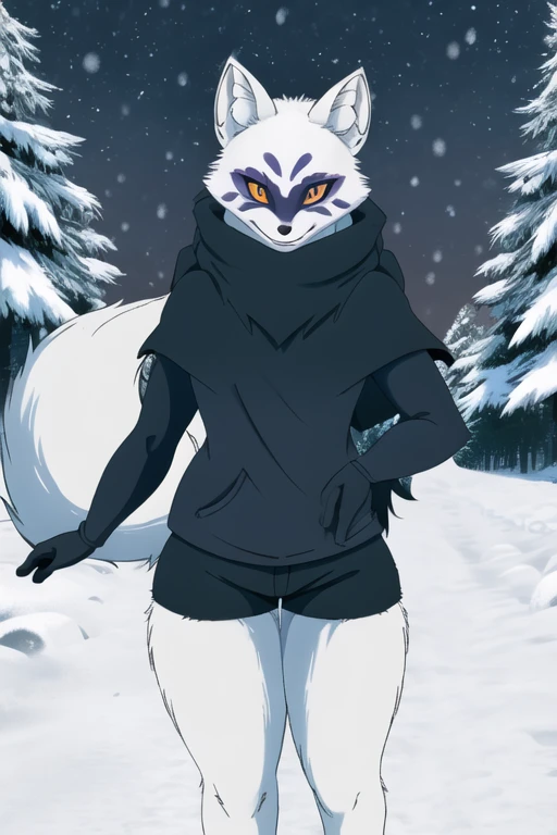 Alopex, arcticfox, tmnt, smile, orange eyes, girl1, solo, snow, black cloak, black shirt, tail, black shorts 