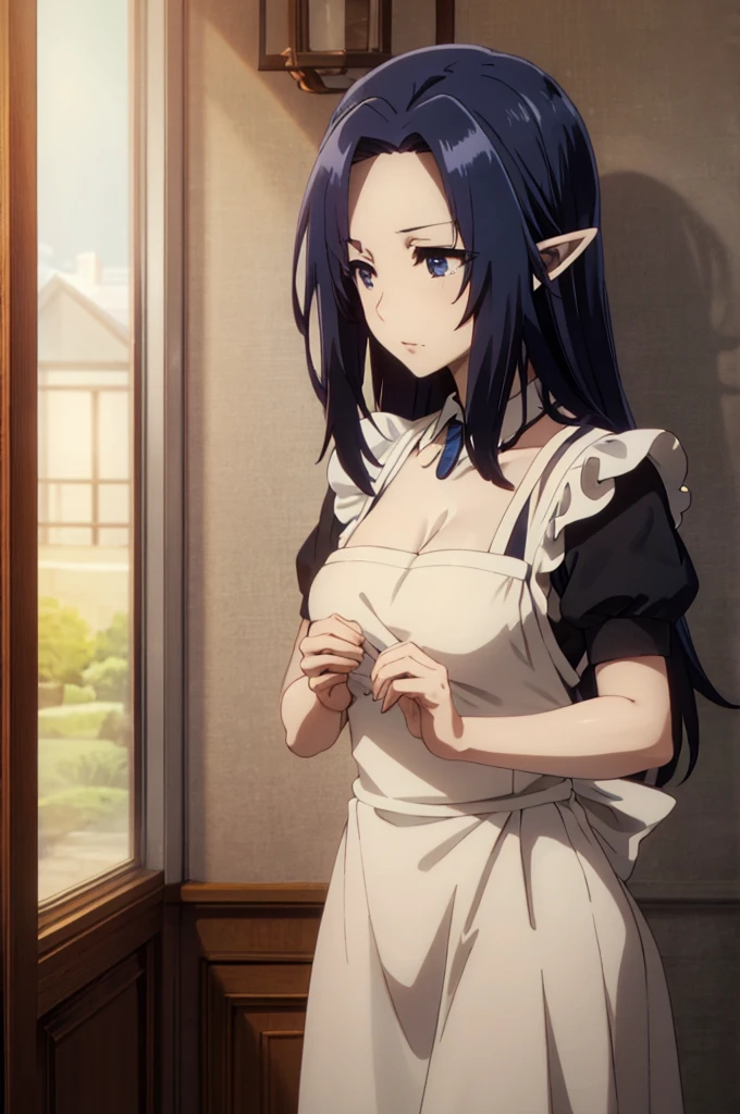 best quality, dark blue hair,,long hair,blue eyes,pointy ears,elf,,masterpiece, highres, solo, (maid:1.40), (long maid dress:1.15), anime_style, 14
