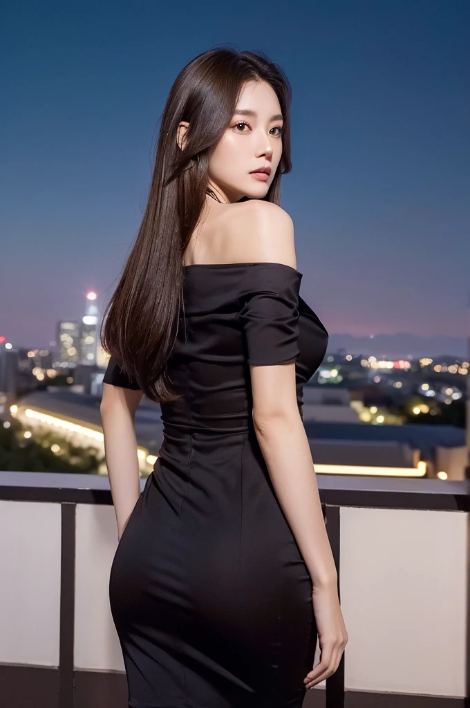 ((Midnight, Best quality, 8k, Masterpiece :1.3, Photorealistic:)), Whole body, Long legs, Ultra High Resolution, Sharp focus :1.2, A pretty woman with perfect figure :1.4, Slender abs :1.1, ((Dark brown hair, Big breasts :1.2)), (sexy dress, thighs,, standing in outside, from behind, showing ass, night sky, skyline), Highly detailed face and skin texture, Detailed eyes, Double eyelid,