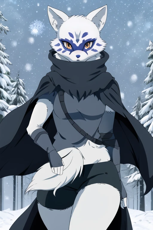 Alopex, arcticfox, tmnt, blue mark face, orange eyes, girl1, solo, snow, black cloak, bandage, tail, black shorts