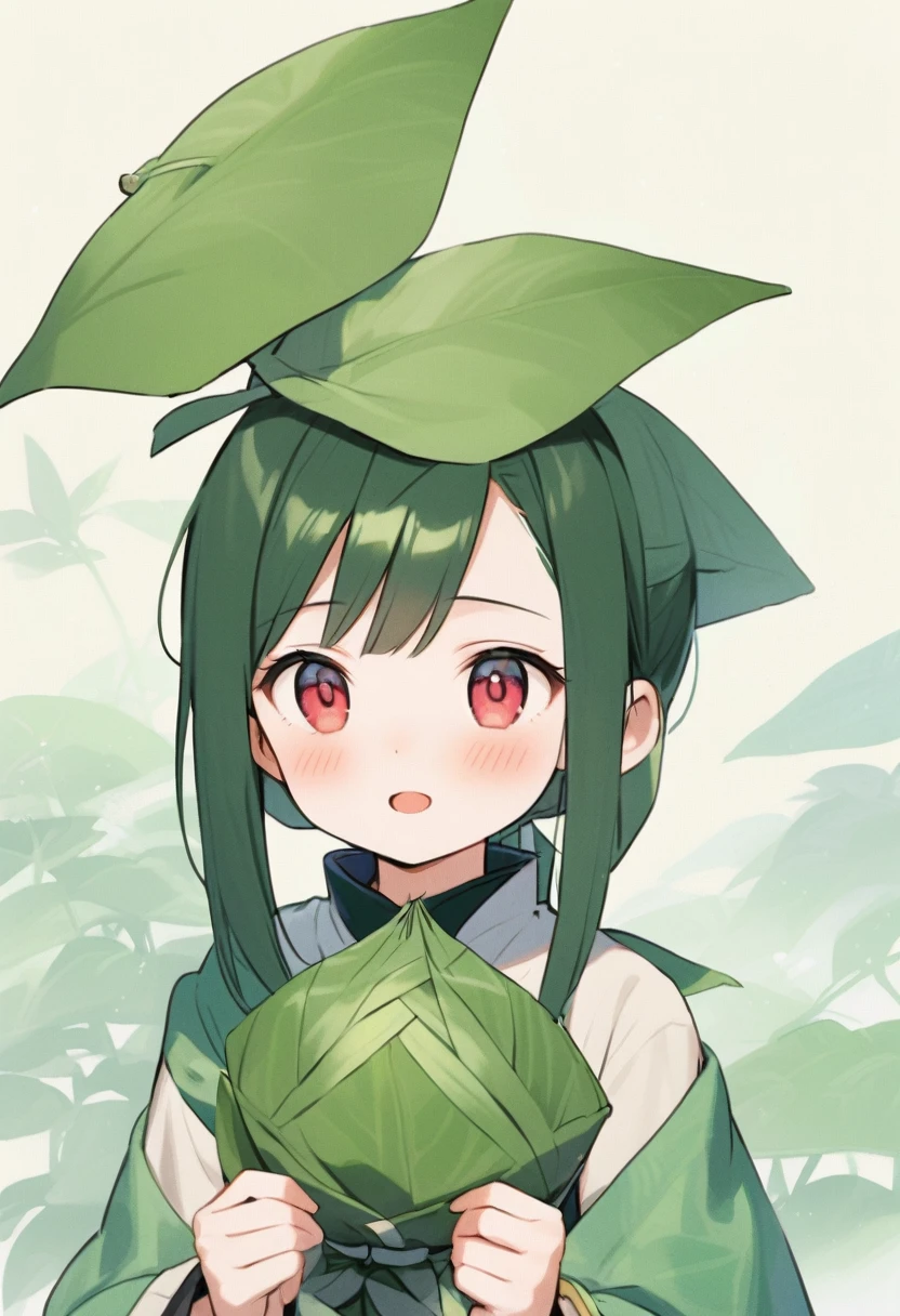 (The fragrance of Zongzi leaves)