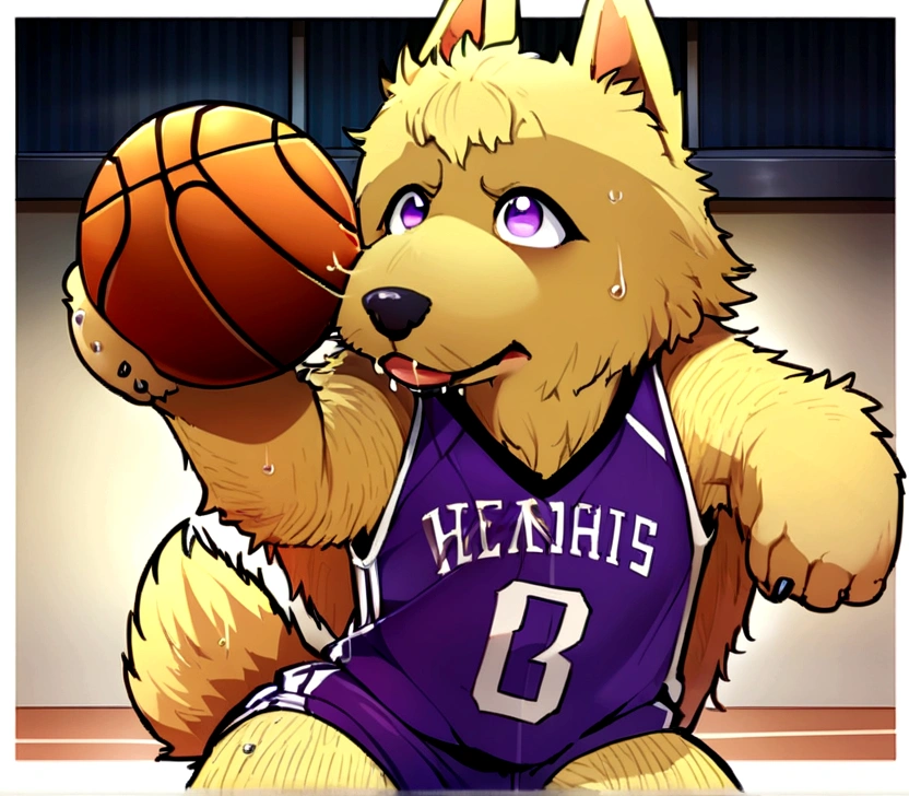 masterpiece, high quality, Absurd, number \(artwork\), From dagasi, Yes,Seizan,(Fluffy fur:1.1),(bright:0.8),Anthropomorphic male dog. (Purple Eyes,Yellow and white fur, Body hair, Dog nose:1.2), bright eyes,panoramic,character focus.Detailed background,(Basketball Jersey, Sweating,Dribbling, play basketball:1.2),(indoor, Basketball Court:1.2)