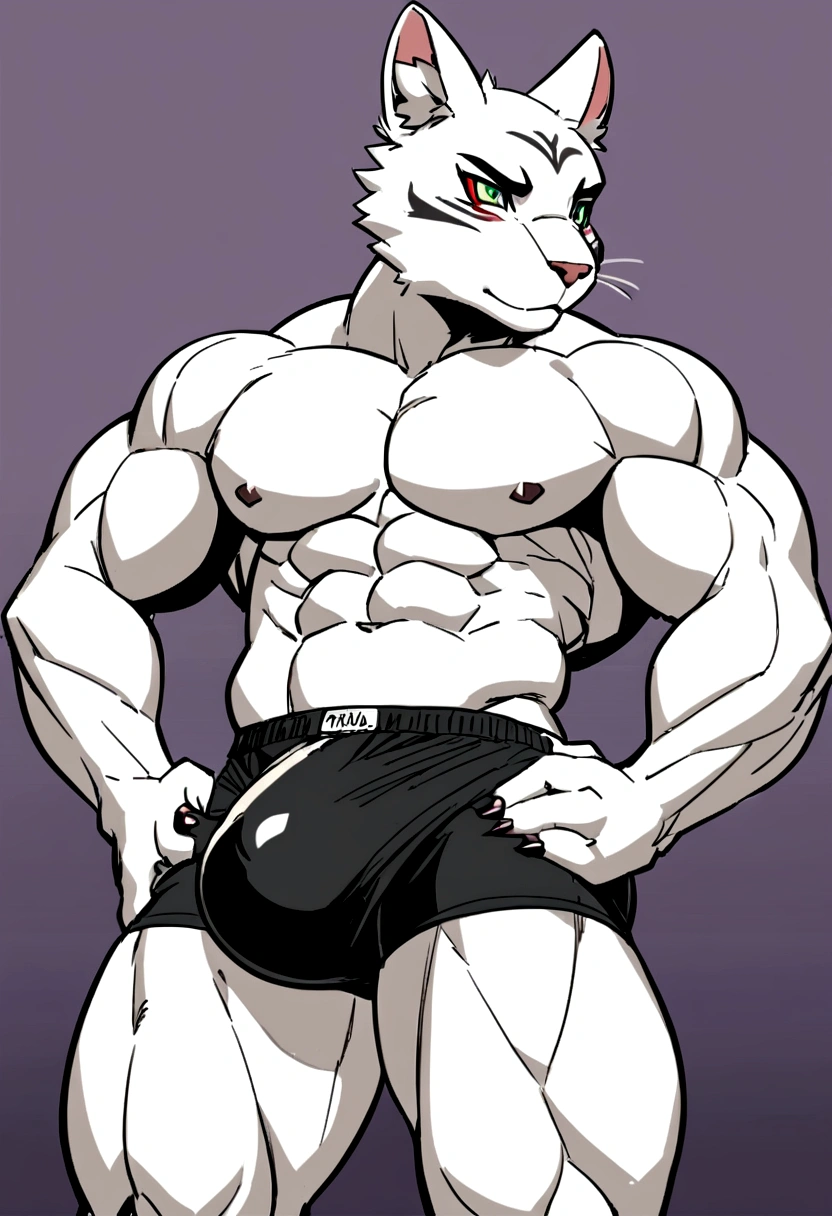 anime drawing of a furry, make it a sexy muscular and semi-naked cat, with a big bulge in his boxers and with a seductive look, with a sexy body