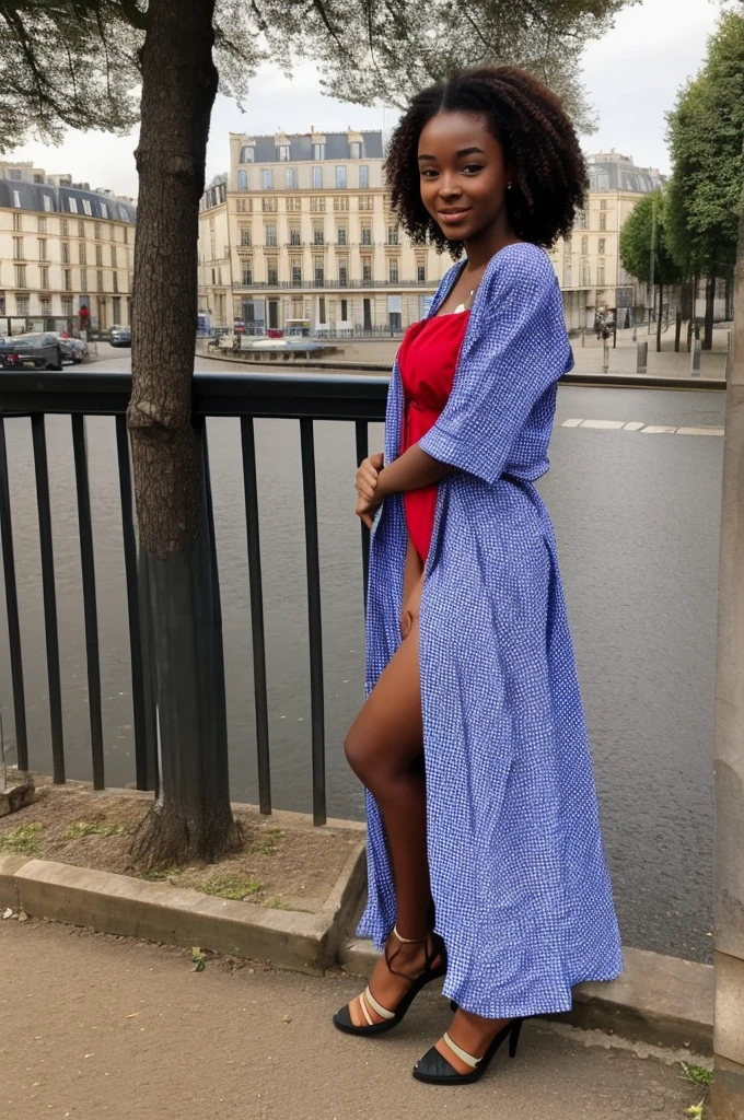 fille de 19 ans africaine au cheuce bouclés a paris en robe