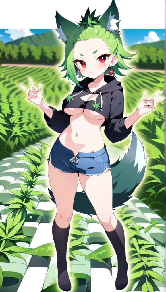   , Croped, , cleavage, slim waist, cropped hoodie underboob, cropped hoodieunderboobhoodie, 1girl, 2 wolf ears, wolf tail, marijuana crop hoodie, crop shorts, marijuana hoodie, spiky hair, spiky fur, green hair, red eyes,marijuana field, tight clothes, perfect eyes, perfect hands, clear resolution, full body, cleavage skin, marijuana plants, open hoodie, marijuana scenery, black thigh high socks, full body, earrings, 1girl, skirt,  cleavage, slim waist, cleavage, slim waist, hair pulled back, 