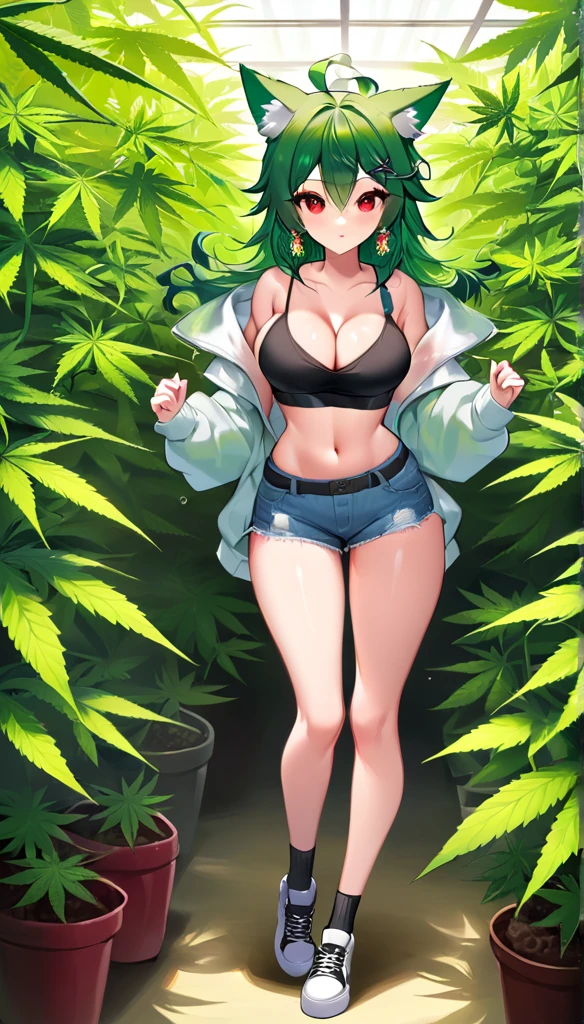 , Croped, , cleavage, slim waist, cropped hoodie underboob, cropped hoodieunderboobhoodie, 1girl, 2 wolf ears, wolf tail, marijuana crop hoodie, crop shorts, marijuana hoodie, spiky hair, spiky fur, green hair, red eyes,marijuana field, tight clothes, perfect eyes, perfect hands, clear resolution, full body, cleavage skin, marijuana plants, open hoodie, marijuana scenery, black thigh high socks, full body, earrings, 1girl, skirt, cleavage, slim waist, cleavage, slim waist, hair pulled back,