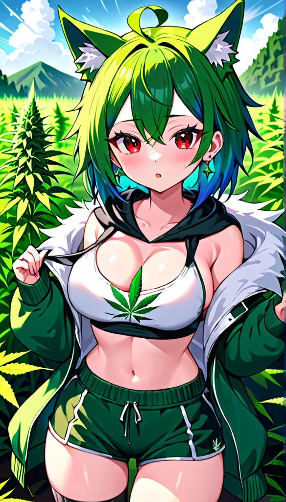 , Croped, , cleavage, slim waist, cropped hoodie underboob, cropped hoodieunderboobhoodie, 1girl, 2 wolf ears, wolf tail, marijuana crop hoodie, crop shorts, marijuana hoodie, spiky hair, spiky fur, green hair, red eyes,marijuana field, tight clothes, perfect eyes, perfect hands, clear resolution, full body, cleavage skin, marijuana plants, open hoodie, marijuana scenery, black thigh high socks, full body, earrings, 1girl, skirt, cleavage, slim waist, cleavage, slim waist, hair pulled back,