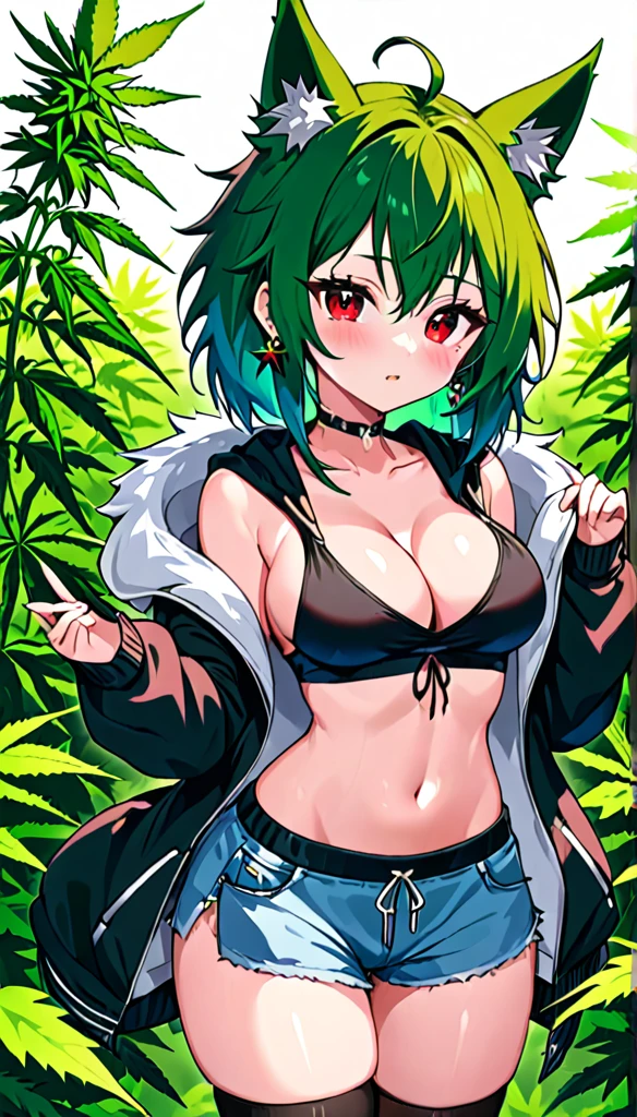   , Croped, , cleavage, slim waist, cropped hoodie underboob, cropped hoodieunderboobhoodie, 1girl, 2 wolf ears, wolf tail, marijuana crop hoodie, crop shorts, marijuana hoodie, spiky hair, spiky fur, green hair, red eyes,marijuana field, tight clothes, perfect eyes, perfect hands, clear resolution, full body, cleavage skin, marijuana plants, open hoodie, marijuana scenery, black thigh high socks, full body, earrings, 1girl, skirt,  cleavage, slim waist, cleavage, slim waist, hair pulled back, 