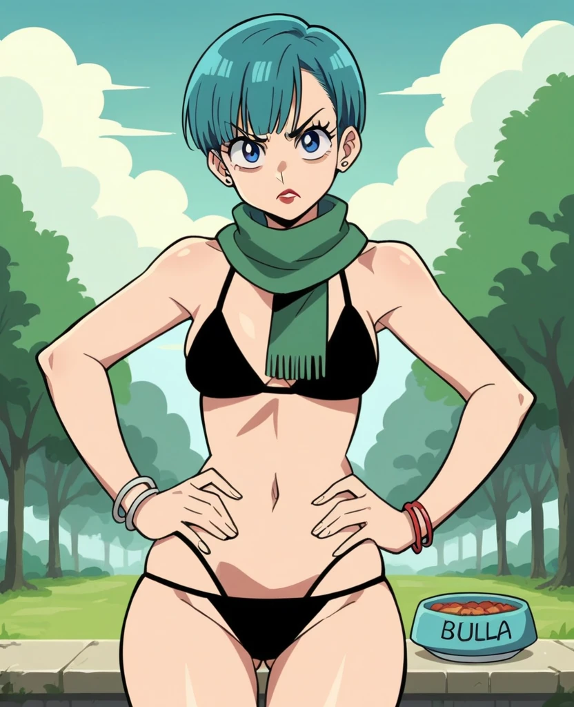 source_anime, score_9, score_8_up, score_7_up, anime screencap,8k, absurd res, bulma, 1girl, solo, looking at viewer, short hair, ((((bowl cut)))), blue eyes, jewelry, blue hair, earrings, outdoors, sky, sleeveless, day, cloud, scarf, :o, bracelet, tree, background white, bikini, green neckwear, eyelashes, makeup, bikini, angry face, Big butt, lipstick, dark bikini, looking at the viewer, Whole body, tanga, hands on hip