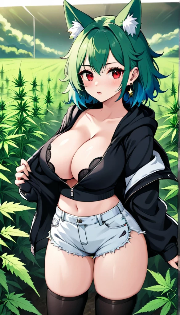   , Croped, , cleavage, slim waist, cropped hoodie underboob, cropped hoodieunderboobhoodie, 1girl, 2 wolf ears, wolf tail, marijuana crop hoodie, crop shorts, marijuana hoodie, spiky hair, spiky fur, green hair, red eyes,marijuana field, tight clothes, perfect eyes, perfect hands, clear resolution, full body, cleavage skin, marijuana plants, open hoodie, marijuana scenery, black thigh high socks, full body, earrings, 1girl, skirt,  cleavage, slim waist, cleavage, slim waist, hair pulled back, 