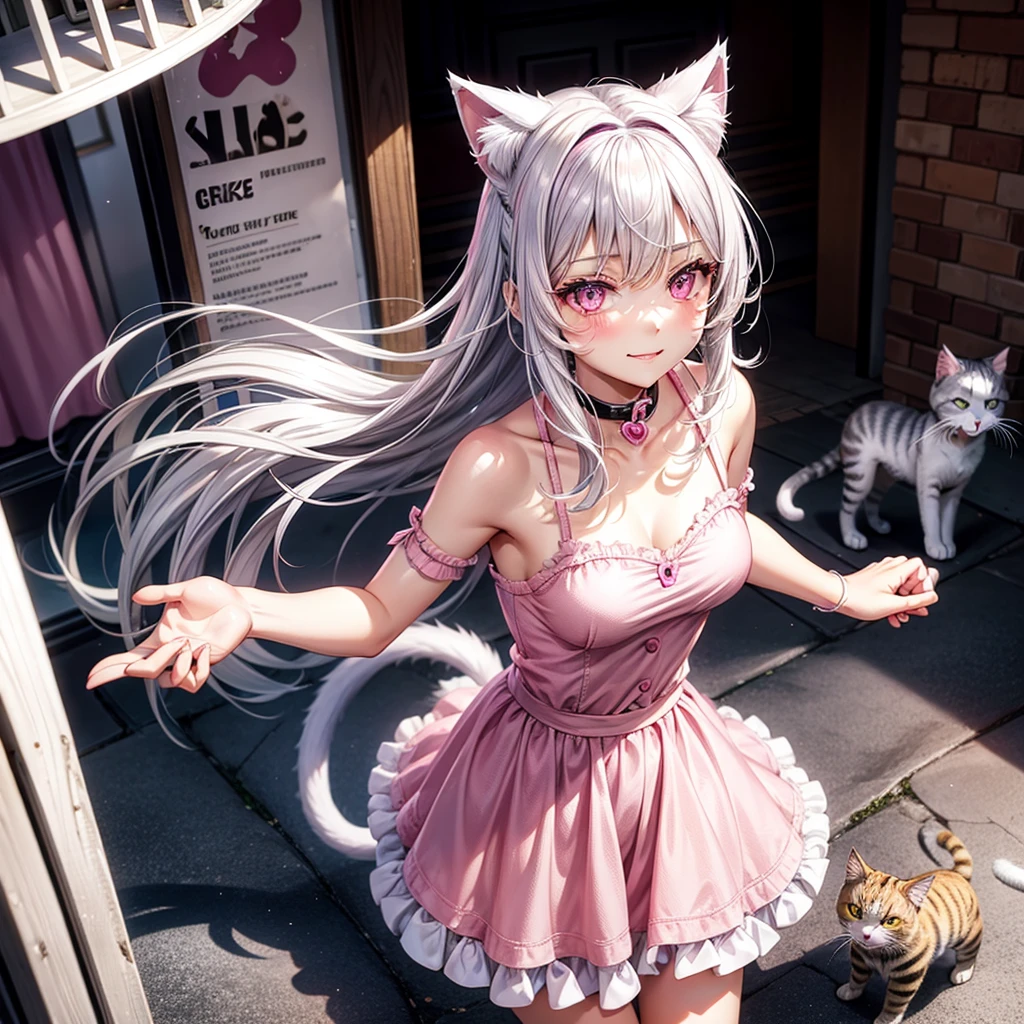 Silver hair, pink eyes, body, cat ears, woman, happy face, pet cat, cats in background, cats, pink clothes
