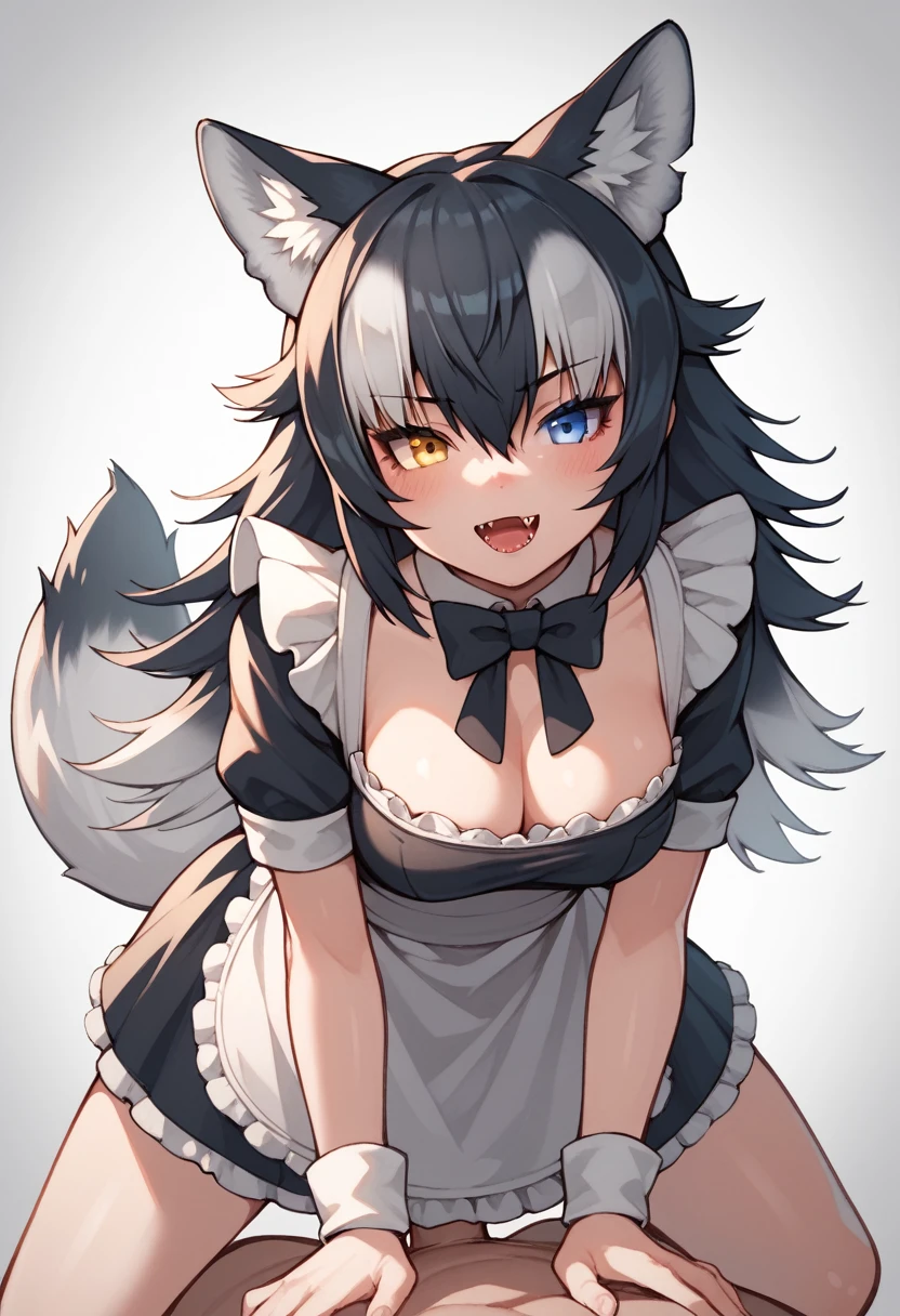 Score_9, Score_8_up, Score_7_up, Score_6_up, Score_5_up, Score_4_up, source_anime, 1girl, nsfw, grey wolf \(kemono friends\), heterochromia, tail, wolf ears, maid, anal sex, doggystyle