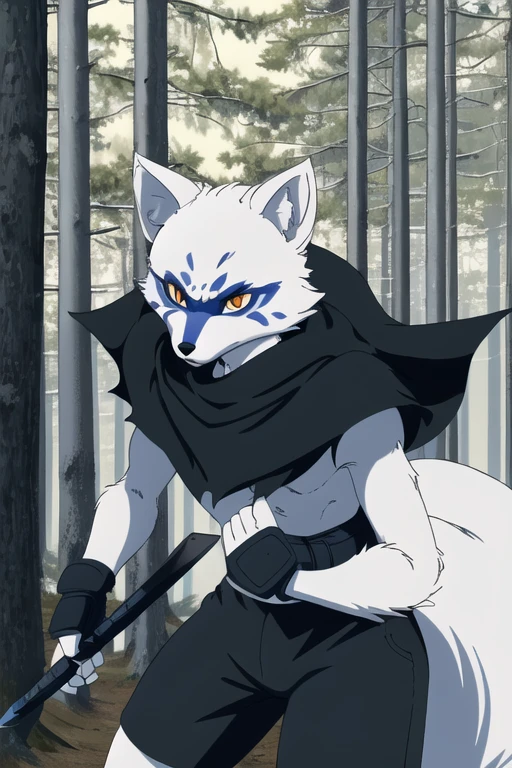 Alopex, arctic fox, furry, blue marks face, tmnt,angry look, orange eyes, girl1, solo, park, forest, cape, black shirt, black shorts, best quality, masterpiece, carrying twins blades