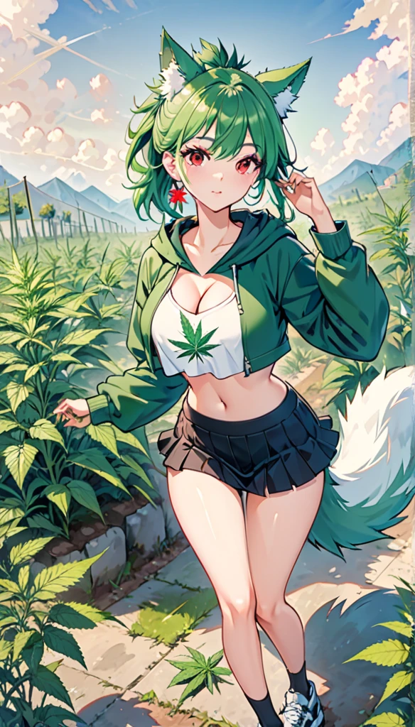   , Croped, , cleavage, slim waist, cropped hoodie underboob, cropped hoodieunderboobhoodie, 1girl, 2 wolf ears, wolf tail, marijuana crop hoodie, crop shorts, marijuana hoodie, spiky hair, spiky fur, green hair, red eyes,marijuana field, tight clothes, perfect eyes, perfect hands, clear resolution, full body, cleavage skin, marijuana plants, open hoodie, marijuana scenery, black thigh high socks, full body, earrings, 1girl, skirt,  cleavage, slim waist, cleavage, slim waist, hair pulled back, 