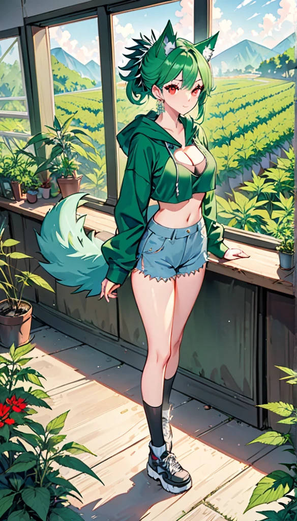 , Croped, , cleavage, slim waist, cropped hoodie underboob, cropped hoodieunderboobhoodie, 1girl, 2 wolf ears, wolf tail, marijuana crop hoodie, crop shorts, marijuana hoodie, spiky hair, spiky fur, green hair, red eyes,marijuana field, tight clothes, perfect eyes, perfect hands, clear resolution, full body, cleavage skin, marijuana plants, open hoodie, marijuana scenery, black thigh high socks, full body, earrings, 1girl, skirt, cleavage, slim waist, cleavage, slim waist, hair pulled back, big breast, round butt, slim waist, best quality