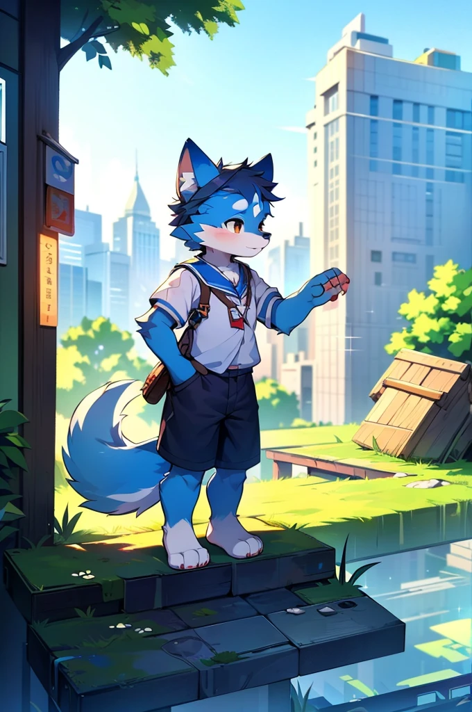 Blue fur, Canine, fox motif, boy, uniform,expensive,One person,Stand up on your own feet,expensive,Cityscape,expensive,,Rural Scenery,