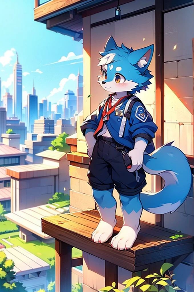 Blue fur, Canine, fox motif, boy, uniform,expensive,One person,Stand up on your own feet,expensive,Cityscape,expensive,,Rural Scenery,