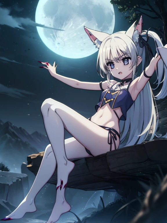(((Werewolf：1girl)))、Leg spread、Long fangs、Long nails、Wolf Ears、tail、Whole body white hair、Nanoha、full moon、In the mountains、Wolf arms、