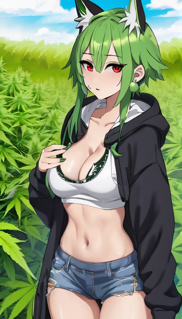, Croped, , cleavage, slim waist, cropped hoodie underboob, cropped hoodieunderboobhoodie, 1girl, 2 wolf ears, wolf tail, marijuana crop hoodie, crop shorts, marijuana hoodie, spiky hair, spiky fur, green hair, red eyes,marijuana field, tight clothes, perfect eyes, perfect hands, clear resolution, full body, cleavage skin, marijuana plants, open hoodie, marijuana scenery, black thigh high socks, full body, earrings, 1girl, skirt, cleavage, slim waist, cleavage, slim waist, hair pulled back,