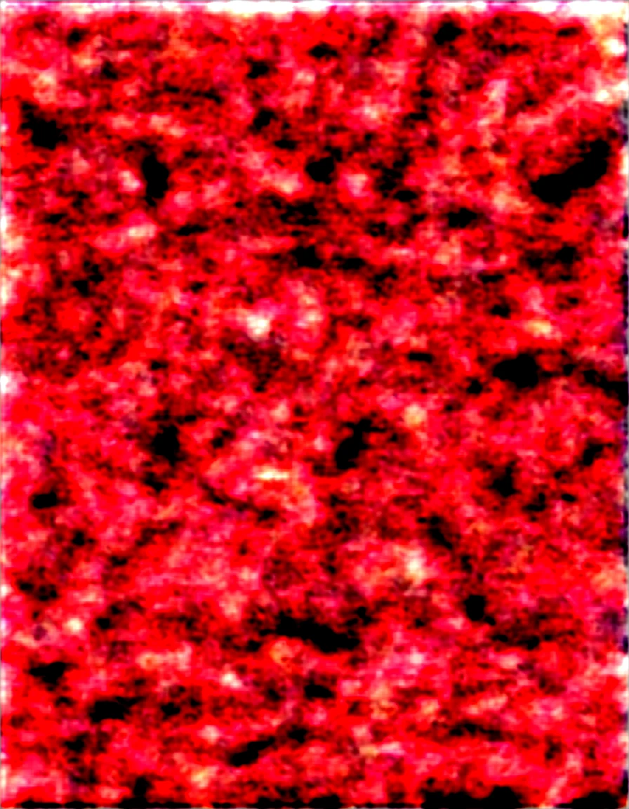 (masterpiece), best quality, (warm color:1.2), (warm lighting:1.2), full body, expressive eyes, beautiful elegant face, drunk expression, ((Succubus:1.6)), horns, white hair, red eyes,1 girl, 27 years old, looking at viewer, in bedroom, (((warm skin tone))), blushing, (sensual expression:1.2), (mouth wide open), (tongue out), (sexy pose:1.4), (high quality, 8k, 4K, High Contrast, masterpiece:1.2), (completely naked:1.6), (huge round breasts:2.0), (small pink nipples:1.2), (muscular body:2.5), (large muscles:2.0), (fit body:1.8), (muscular shoulders:2.1), (muscular arms:2.0), (defined midriff:1.6), (toned midriff:2.0), (abs:1.4), (narrow waist:1.2), hips, (excessive cum on her face:2.8), (cum dripping down her chin), (long thick strands of cum), (excessive cum on her body:2.8), (cum dripping down her breasts)