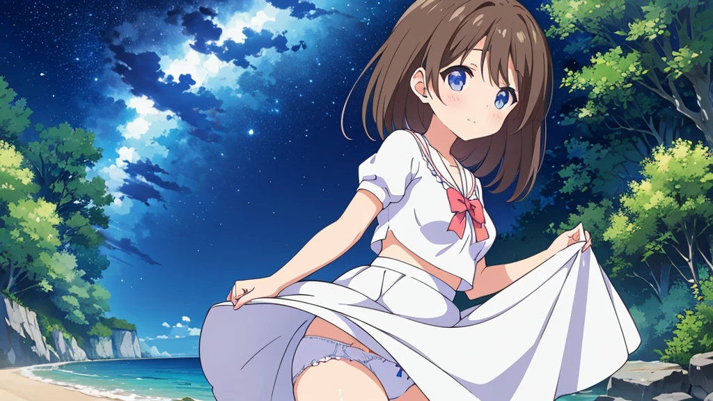 A nice white shirt that lets you see. 、Light blue flared skirt with ruffles、She lifts her skirt with both hands to show off her pretty white .、Cute white  visible when you lift your skirt.、sandy beach, beautiful sea, night and starry sky small  