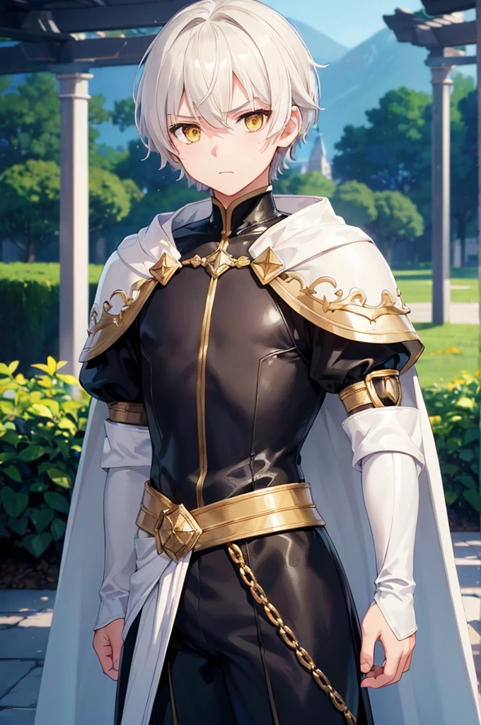 (masterpiece; best quality: 1.2), (finely detailed eyes: 1.3), ((1 male kid)), ((solo)), (yellow eyes: 1.4), (adorable; short, serious: 1.3), (short white hair: 1.3), (beautiful and clear background: 1.2), ((depth of field)), (clothes: light metallic armor + black form-fitting clothes + cape: 1.3), (anime illustration: 1.2), (background; royal garden exterior+ day: 1.1), (extremely fine and handsome: 1.1), (shot composition; standing + close-up: 1.5), (expression; calm, frown: 1.2)