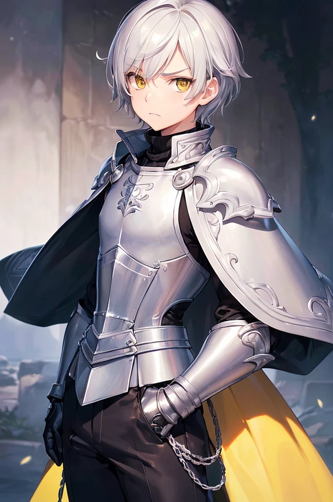 (masterpiece; best quality: 1.2), (finely detailed eyes: 1.3), ((1 male ???)), ((solo)), (yellow eyes: 1.4), (adorable; short, serious: 1.3), (short white hair: 1.3), (beautiful and clear background: 1.2), ((depth of field)), (clothes: silver light armor + black turtleneck, pants, cape: 1.3), (anime illustration: 1.2), (background; royal garden exterior+ day: 1.1), (extremely fine and handsome: 1.1), (shot composition; standing + close-up: 1.5), (expression; calm, frown: 1.2)