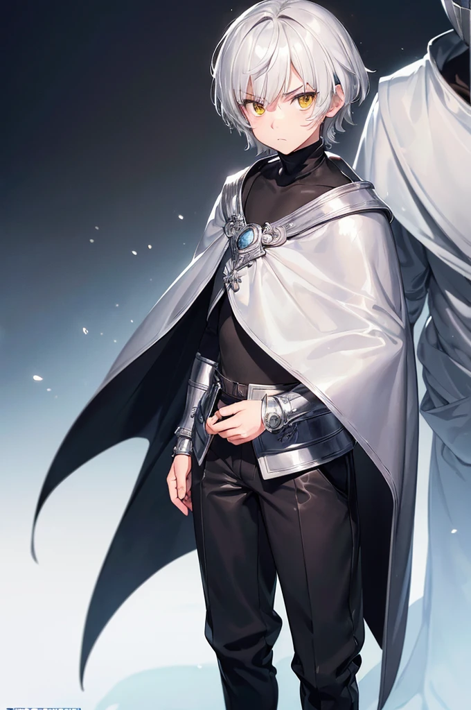 (masterpiece; best quality: 1.2), (finely detailed eyes: 1.3), ((1 male ???)), ((solo)), (yellow eyes: 1.4), (adorable; short, serious: 1.3), (short white hair: 1.3), (beautiful and clear background: 1.2), ((depth of field)), (clothes: silver light armor + black turtleneck, pants, cape: 1.3), (anime illustration: 1.2), (background; royal garden exterior+ day: 1.1), (extremely fine and handsome: 1.1), (shot composition; standing + close-up: 1.5), (expression; calm, frown: 1.2)