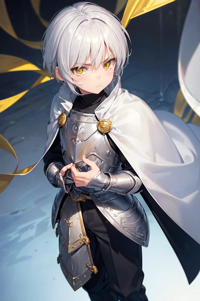(masterpiece; best quality: 1.2), (finely detailed eyes: 1.3), ((1 male ???)), ((solo)), (yellow eyes: 1.4), (adorable; short, serious: 1.3), (short white hair: 1.3), (beautiful and clear background: 1.2), ((depth of field)), (clothes: silver light armor + black turtleneck, pants, cape: 1.3), (anime illustration: 1.2), (background; royal garden exterior+ day: 1.1), (extremely fine and handsome: 1.1), (shot composition; standing + close-up: 1.5), (expression; calm, frown: 1.2)