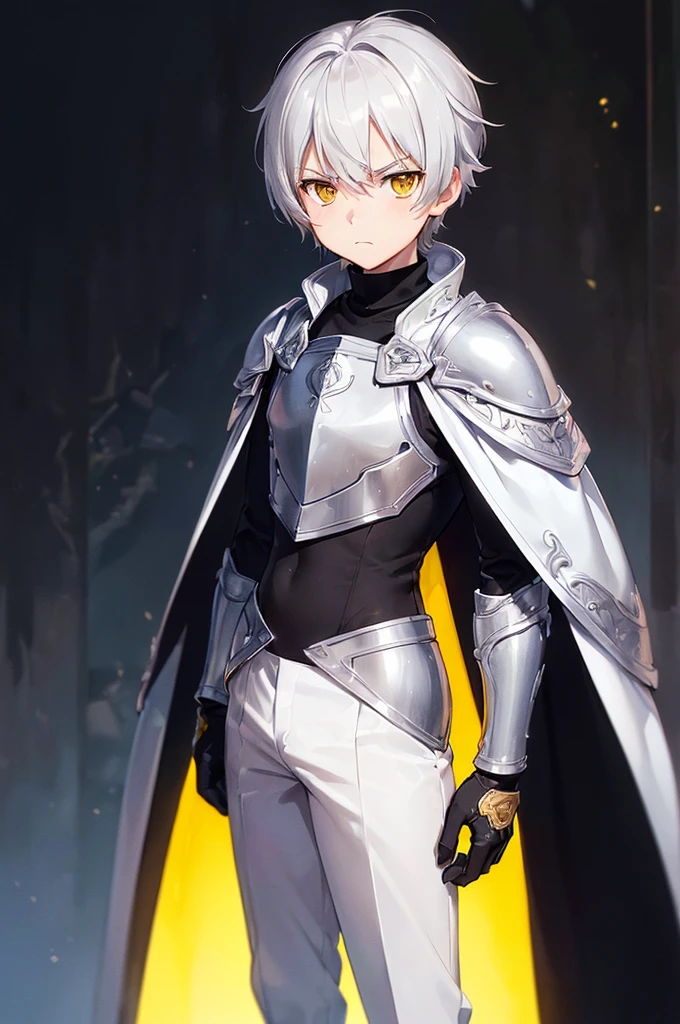 (masterpiece; best quality: 1.2), (finely detailed eyes: 1.3), ((1 male kid)), ((solo)), (yellow eyes: 1.4), (adorable; short, serious: 1.3), (short white hair: 1.3), (beautiful and clear background: 1.2), ((depth of field)), (clothes: silver light armor + black turtleneck, pants, cape, gloves: 1.3), (anime illustration: 1.2), (background; royal garden exterior+ day: 1.1), (extremely fine and handsome: 1.1), (shot composition; standing + close-up: 1.5), (expression; calm, frown: 1.2)