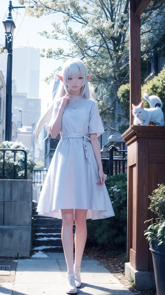 Snow,high elf ,white,blue eyes,quiet,timid,cool,introvert,shy,have orange cat as companion, woman,youngadult,teenager,