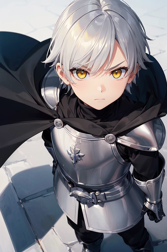 (masterpiece; best quality: 1.2), (finely detailed eyes: 1.3), ((1 male ???)), ((solo)), (yellow eyes: 1.4), (adorable; short, serious: 1.3), (short white hair: 1.3), (beautiful and clear background: 1.2), ((depth of field)), (clothes: silver armor + black turtleneck + black pants + black cape + black gloves: 1.3), (anime illustration: 1.2), (background; royal garden exterior+ day: 1.1), (extremely fine and handsome: 1.1), (shot composition; standing + close-up: 1.5), (expression; calm, frown: 1.2)