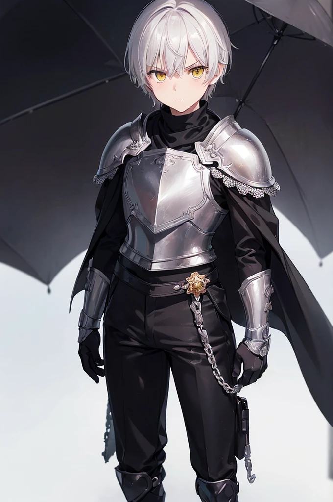 (masterpiece; best quality: 1.2), (finely detailed eyes: 1.3), ((1 male ???)), ((solo)), (yellow eyes: 1.4), (adorable; short, serious: 1.3), (short white hair: 1.3), (beautiful and clear background: 1.2), ((depth of field)), (clothes: silver armor + black turtleneck + black pants + black cape + black gloves: 1.3), (anime illustration: 1.2), (background; royal garden exterior+ day: 1.1), (extremely fine and handsome: 1.1), (shot composition; standing + close-up: 1.5), (expression; calm, frown: 1.2)