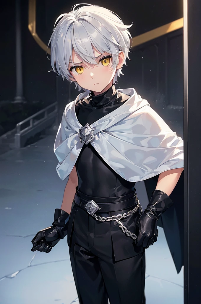 (masterpiece; best quality: 1.2), (finely detailed eyes: 1.3), ((1 male kid)), ((solo)), (yellow eyes: 1.4), (adorable; short, serious: 1.3), (short white hair: 1.3), (beautiful and clear background: 1.2), ((depth of field)), (clothes: silver armor + black turtleneck + black pants + black cape + black gloves: 1.3), (anime illustration: 1.2), (background; royal garden exterior+ day: 1.1), (extremely fine and handsome: 1.1), (shot composition; standing + close-up: 1.5), (expression; calm, frown: 1.2)