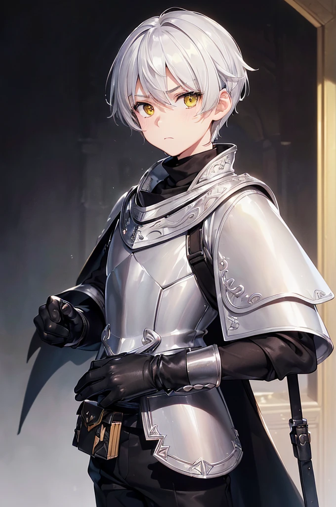 (masterpiece; best quality: 1.2), (finely detailed eyes: 1.3), ((1 male kid)), ((solo)), (yellow eyes: 1.4), (adorable; short, serious: 1.3), (short white hair: 1.3), (beautiful and clear background: 1.2), ((depth of field)), (clothes: silver armor + black turtleneck + black pants + black cape + black gloves + brown bag on side: 1.3), (anime illustration: 1.2), (background; royal garden exterior+ day: 1.1), (extremely fine and handsome: 1.1), (shot composition; standing + close-up: 1.5), (expression; calm, frown: 1.2)