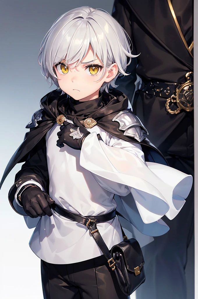 (masterpiece; best quality: 1.2), (finely detailed eyes: 1.3), ((1 male ???)), ((solo)), (yellow eyes: 1.4), (adorable; short, serious: 1.3), (short white hair: 1.3), (beautiful and clear background: 1.2), ((depth of field)), (clothes: silver armor + black turtleneck + black pants + black cape + black gloves + brown bag on side: 1.3), (anime illustration: 1.2), (background; royal garden exterior+ day: 1.1), (extremely fine and handsome: 1.1), (shot composition; standing + close-up: 1.5), (expression; calm, frown: 1.2)