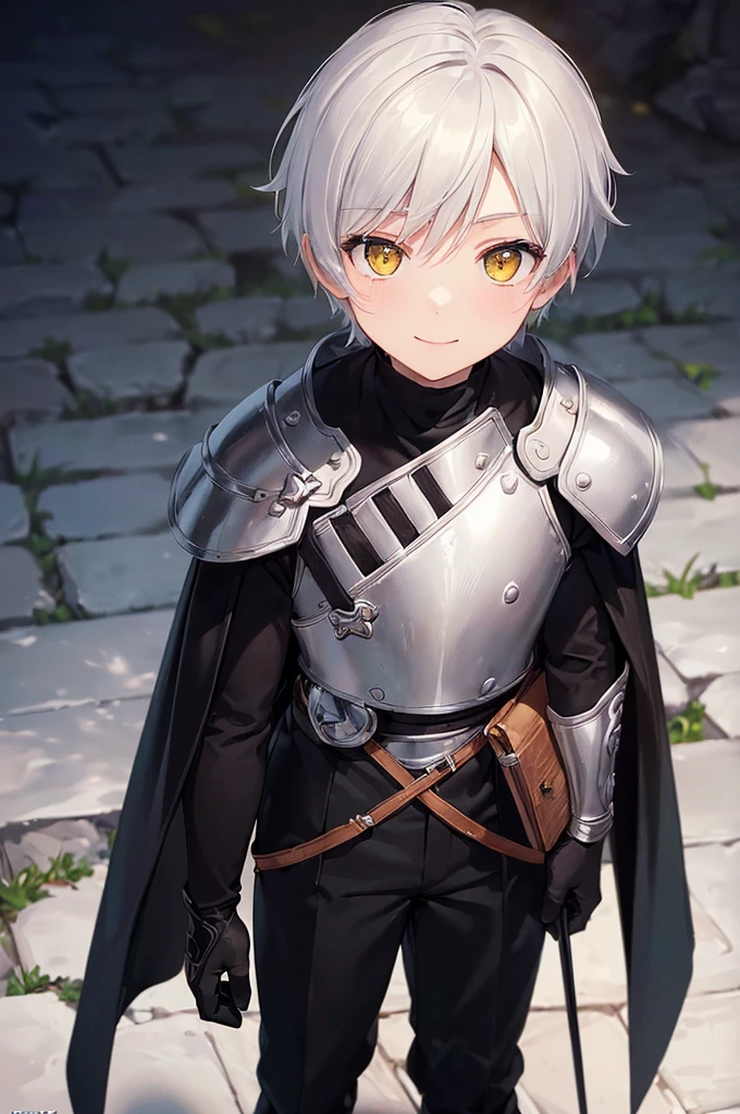 (masterpiece; best quality: 1.2), (finely detailed eyes: 1.3), ((1 male young ???)), ((solo)), (yellow eyes: 1.4), (adorable; short, slender: 1.3), (short white hair: 1.3), (beautiful and clear background: 1.2), ((depth of field)), (clothes: silver armor + black turtleneck + black pants + black cape + black gloves + brown bag on side: 1.3), (anime illustration: 1.2), (background; garden exterior: 1.1), (extremely fine and handsome: 1.1), (shot composition; standing + close-up: 1.5), (expression; calm, smile: 1.2)