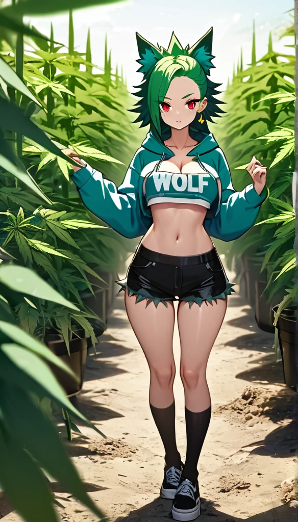   , Croped, , cleavage, slim waist, cropped hoodie underboob, cropped hoodieunderboobhoodie, 1girl, 2 wolf ears, wolf tail, marijuana crop hoodie, crop shorts, marijuana hoodie, spiky hair, spiky fur, green hair, red eyes,marijuana field, tight clothes, perfect eyes, perfect hands, clear resolution, full body, cleavage skin, marijuana plants, open hoodie, marijuana scenery, black thigh high socks, full body, earrings, 1girl, skirt,  cleavage, slim waist, cleavage, slim waist, hair pulled back, 