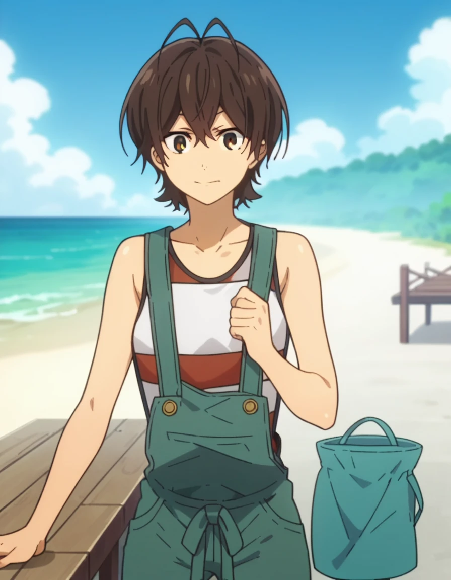 score_9, score_8_up, score_7_up, score_6_up, score_5_up, score_4_up, source anime, anime screencap, anime coloring, miwa, looking at viewer, overalls, beach, solo, blue sky, pier,