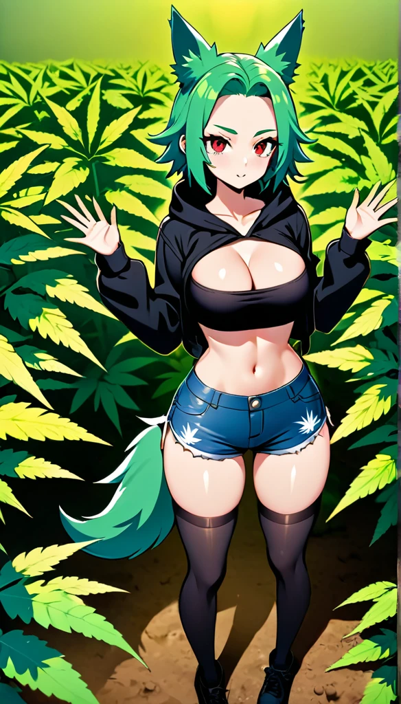   , Croped, , , slim waist, cropped hoodie underboob, cropped hoodieunderboobhoodie, 1girl, 2 wolf ears, wolf tail, marijuanodie, crop shorts, marijuana hoodie,ir, spiky fur, green hair, red eyes,marijuana field, tight clofect eyes, perfect hands, clear resolution, full body, cleavage skin, marijuana plants, ope, marijuana scack thigh high socks, full bodys, 1girl, skirt,  cleavage, slim waist, cleavage, slim waist, hair pulled back,