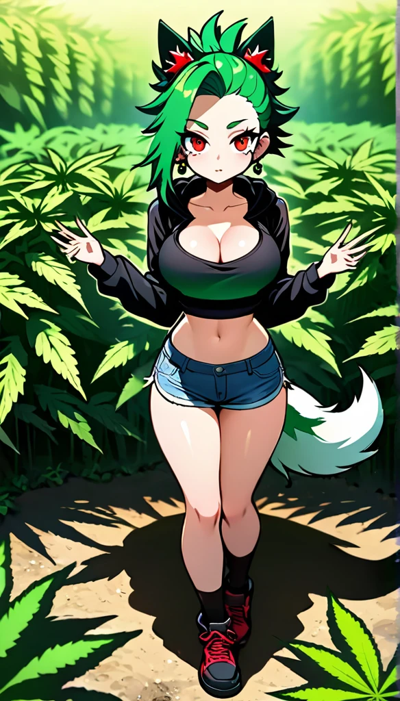   , Croped, , cleavage, slim waist, cropped hoodie underboob, cropped hoodieunderboobhoodie, 1girl, 2 wolf ears, wolf tail, marijuana crop hoodie, crop shorts, marijuana hoodie, spiky hair, spiky fur, green hair, red eyes,marijuana field, tight clothes, perfect eyes, perfect hands, clear resolution, full body, cleavage skin, marijuana plants, open hoodie, marijuana scenery, black thigh high socks, full body, earrings, 1girl, skirt,  cleavage, slim waist, cleavage, slim waist, hair pulled back, 