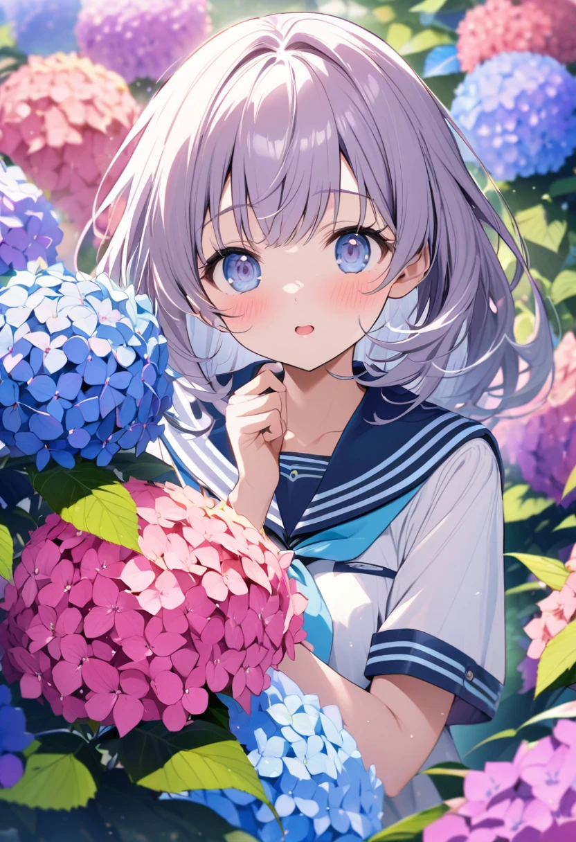 Colorful and gentle hues of hydrangea、A high school girl looking closely、Sailor suit、It's raining a little.、A fusion of watercolor and reality