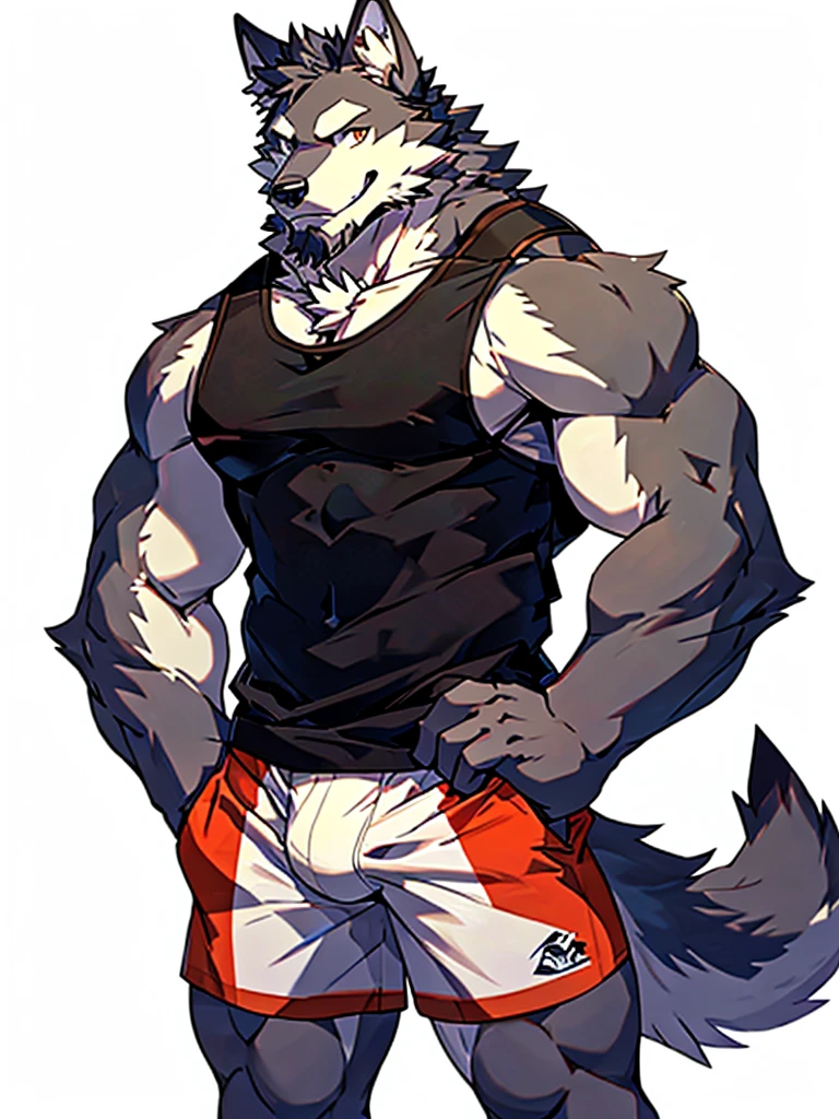 white background, front view, hands on hips, muscular male, male, furry, wolf, wolf ear, tail, beard, wearing tank top, wearing boxer briefs, looking at viewer, shy, smiling, happy