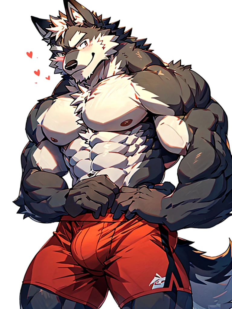 front view, white background, hands on back, Furry, wolf, male, muscular, muscles, thick eyebrows, shirtless, wearing boxer briefs, look at viewer, blushing, shy, closed eye, smiling, happy
