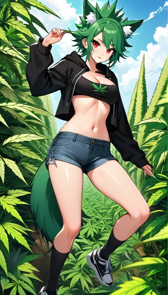, Croped, , cleavage, slim waist, cropped hoodie underboob, cropped hoodieunderboobhoodie, 1girl, 2 wolf ears, wolf tail, marijuana crop hoodie, crop shorts, marijuana hoodie, spiky hair, spiky fur, green hair, red eyes,marijuana field, tight clothes, perfect eyes, perfect hands, clear resolution, full body, cleavage skin, marijuana plants, open hoodie, marijuana scenery, black thigh high socks, full body, earrings, 1girl, skirt, cleavage, slim waist, cleavage, slim waist, hair pulled back,