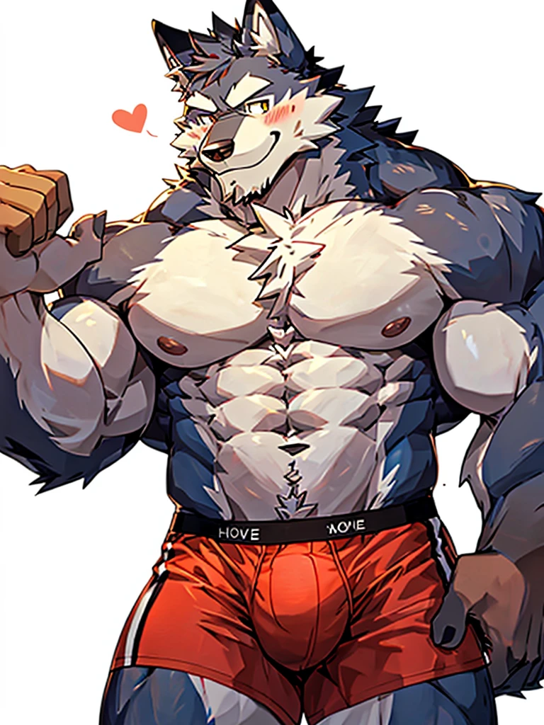 front view, white background, open arms, hug, incoming hug, arms outstretched to viewer Furry, wolf, male, muscular, muscles, thick eyebrows, shirtless, wearing boxer briefs, look at viewer, blushing, shy, smiling, happy