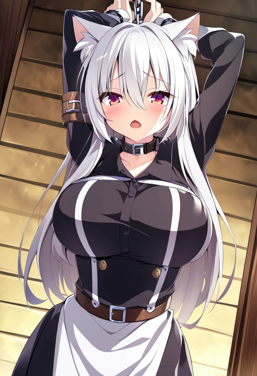 one girl, handcuffed above her head, slave, cat ears, white hair