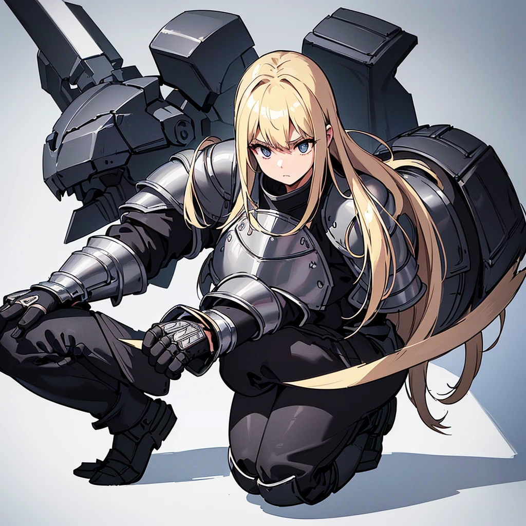 (((Solo)))、Highest quality, Best Quality、8K、Best illustrations、(Full body character concept、detailed)、(((Gray simple armor、Black trousers、Black gloves))、(woman、18-year-old)、(Blonde、Long Hair)、Dramatic Angle、(White background)、(squat)、Feed the cat